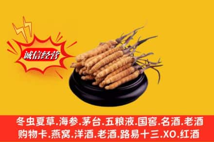 克孜勒苏州阿合奇名酒回收冬虫夏草.jpg